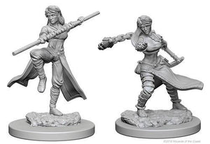 D&D Unpainted Mini: Female Human Monk