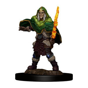 D&D Premium Painted Mini: Male Elf Fighter