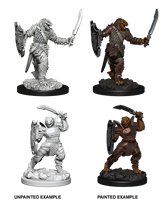 D&D Unpainted Mini: Dragonborn Female Paladin